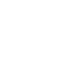 Art of Bullshit Logo